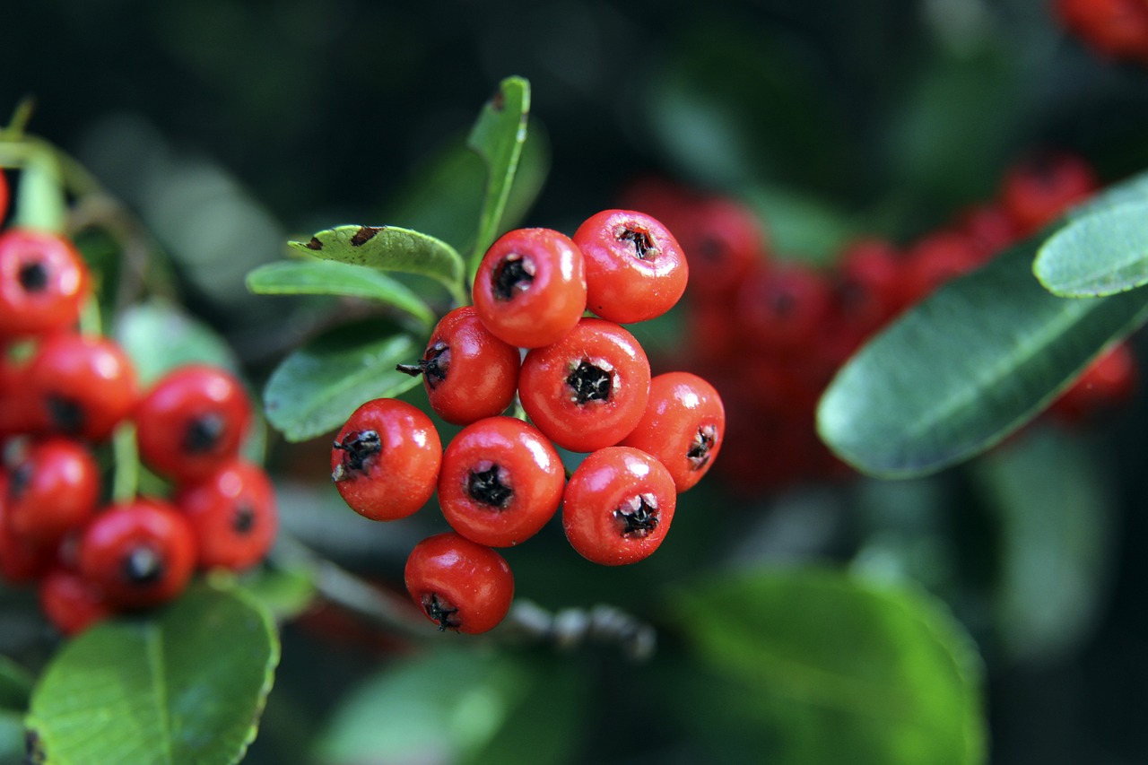 表现在成绩 表现在成绩