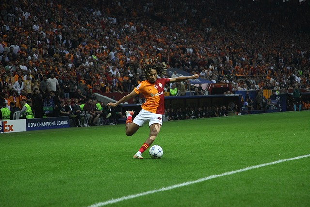 严格执行对 严格执行对