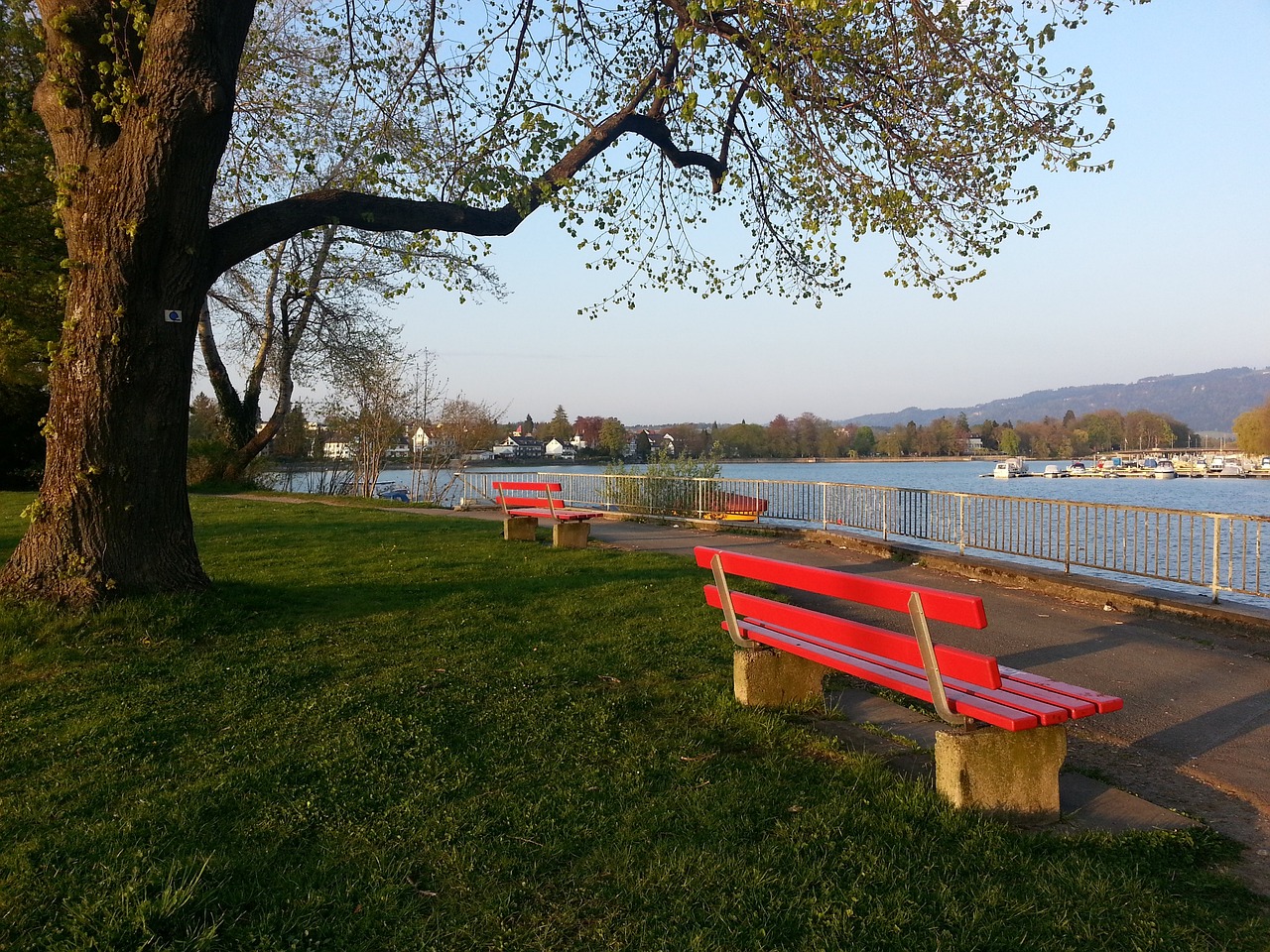 和耐心的进 和耐心的进